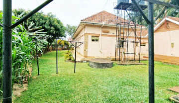 WhatsApp Image 2025-12-10 at 13.36.03.jpeg